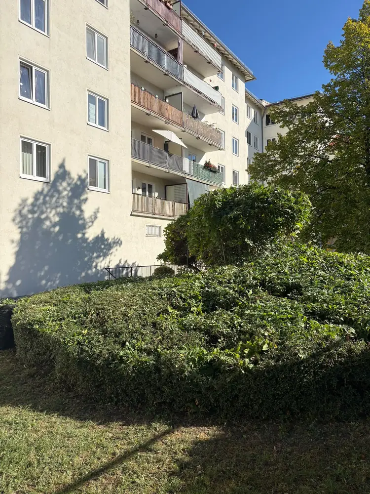 Rund geschnittene Hecke an einer Wohnanlage in München nach dem Formschnitt