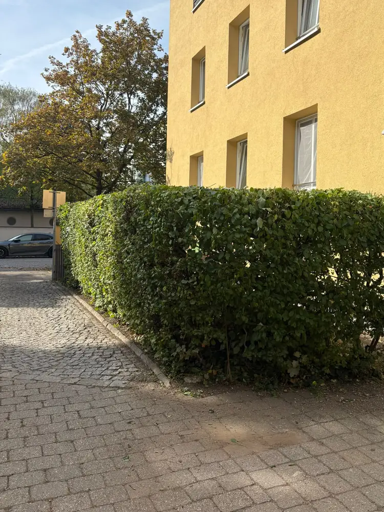 Kantig geschnittene Hecke an der Hausecke einer Wohnanlage in München