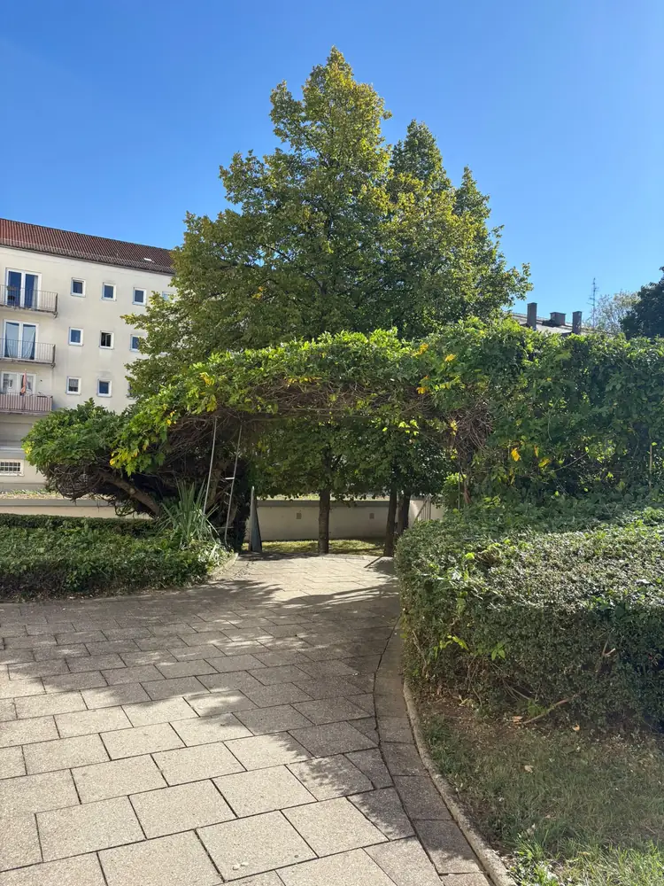 Laubengang im Innenhof einer Wohnanlage in München nach dem Formschnitt