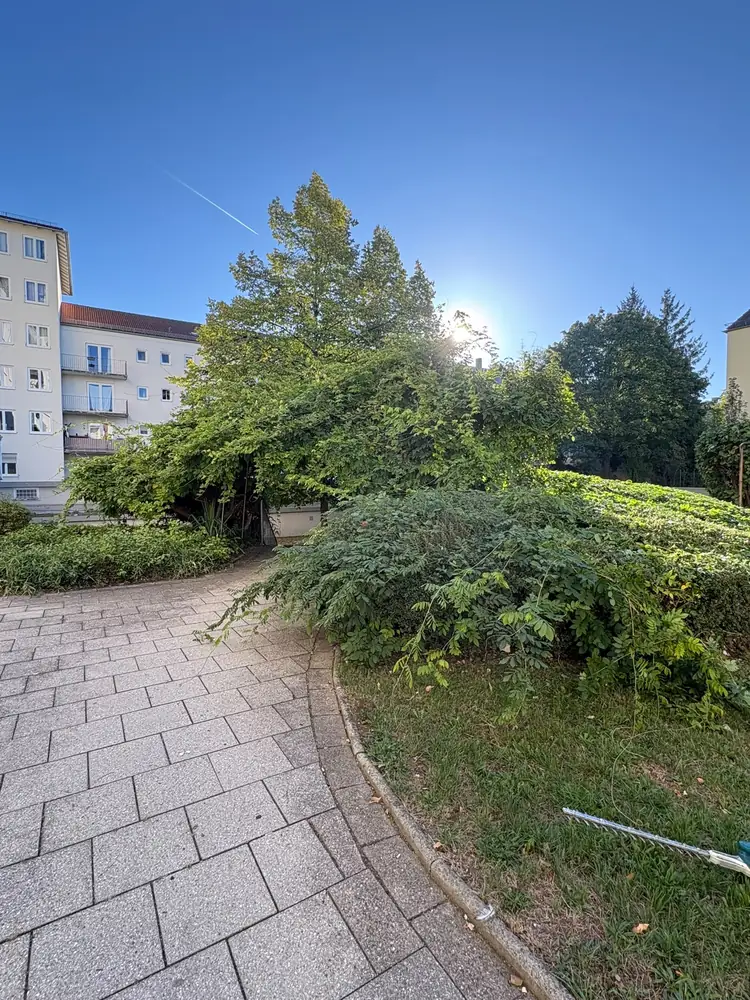 Zugewachsener Laubengang im Innenhof einer Wohnanlage in München vor dem Heckenschnitt